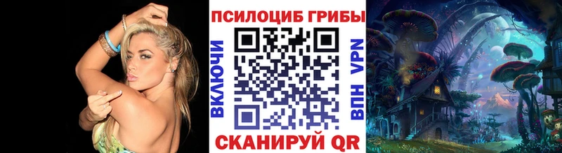Галлюциногенные грибы Psilocybine cubensis  Темрюк 